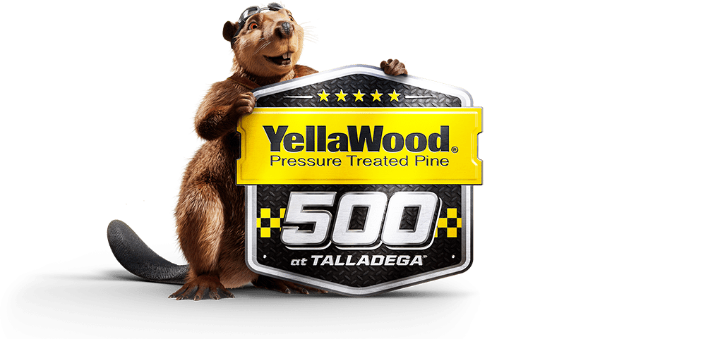 Talladega’s October Race